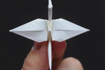 折纸也能发Nature